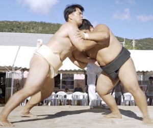 Welcome to Sumo Island
