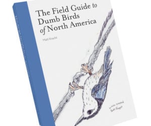 The Field Guide to Dumb Birds