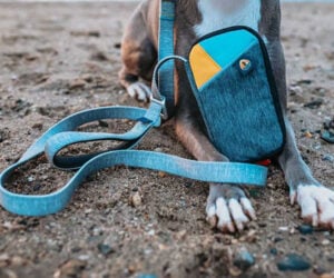 Grab & Go Dog Leash + Bag