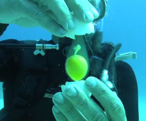 Cracking an Egg Underwater