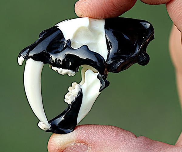 Carving a Sabertooth Cat Skull from an 8 Ball