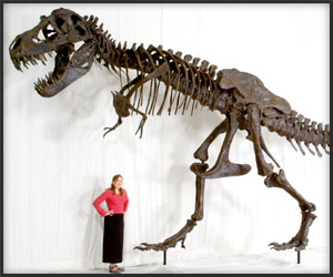 T. rex Replica Skeleton