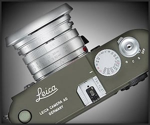 Leica M8 Safari