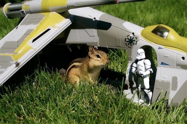 Chipmunks x Star Wars