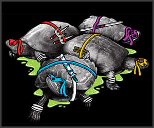 Turtle Power T-shirt