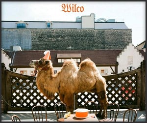 Wilco: The Album