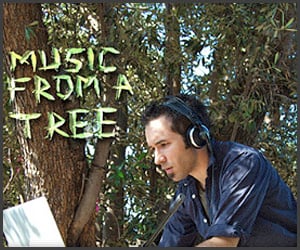 Music From A Tree
