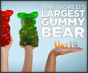 5 Pound Gummy Bear