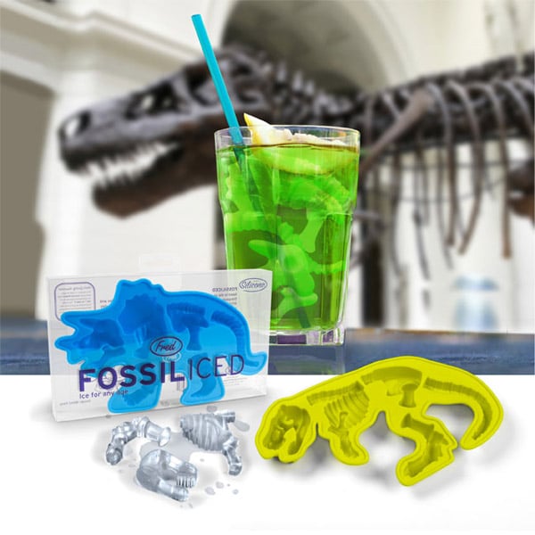 Fossiliced Ice Cubes