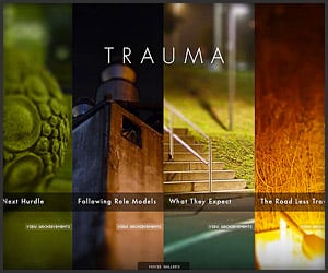 Gameplay Trailer: Trauma
