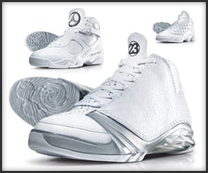 Air Jordan: Silver Anniversary