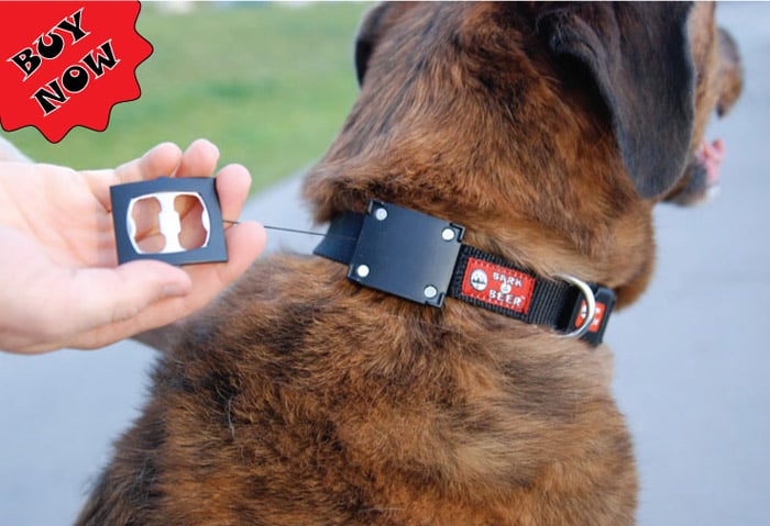 Bark4Beer Dog Collar