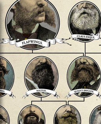 Hierarchy Of Beards