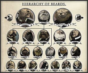 Hierarchy Of Beards