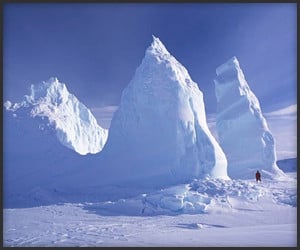 Kensington Tours: Antarctica