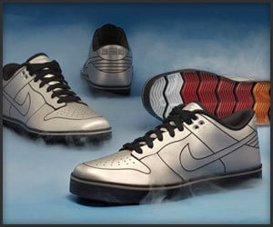 Nike 6.0 DeLorean Dunks