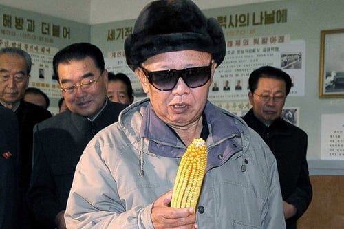 Kim Jong-Il Looking at Things