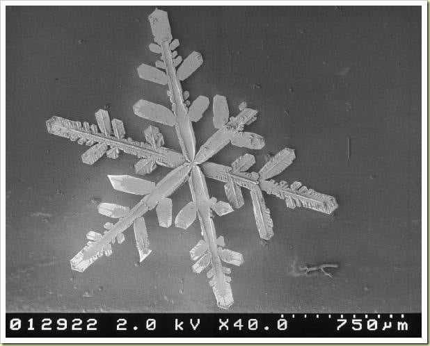 Snow Under a Microscope