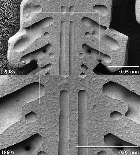 Snow Under a Microscope