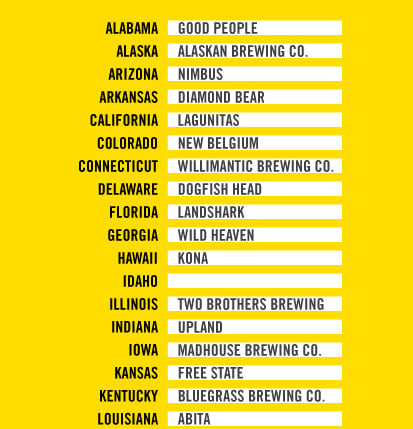 Indie Beer Infographic