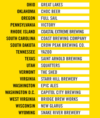 Indie Beer Infographic