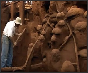 Giant Ant Hill Excavation