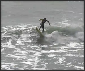 Surfboard Kickflip