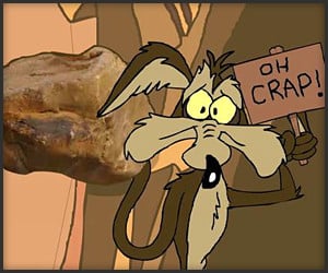 Wile E. Coyote in 127 Hours
