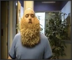 Toothpick Beard