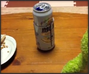 Beer Can Robot