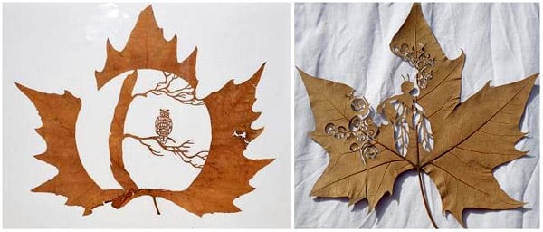 Cut-out Leaf Art