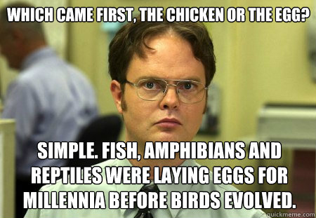 Schrute Facts