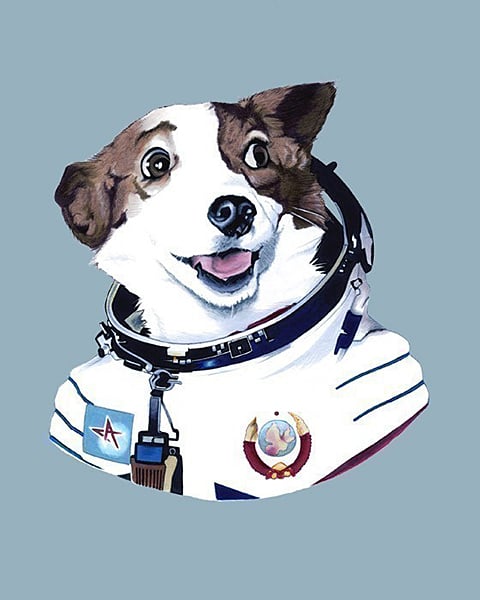 Strelka the Space Dog