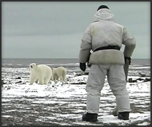 Man vs. Polar Bears