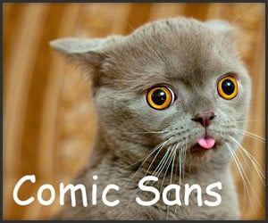 Cats as Fonts