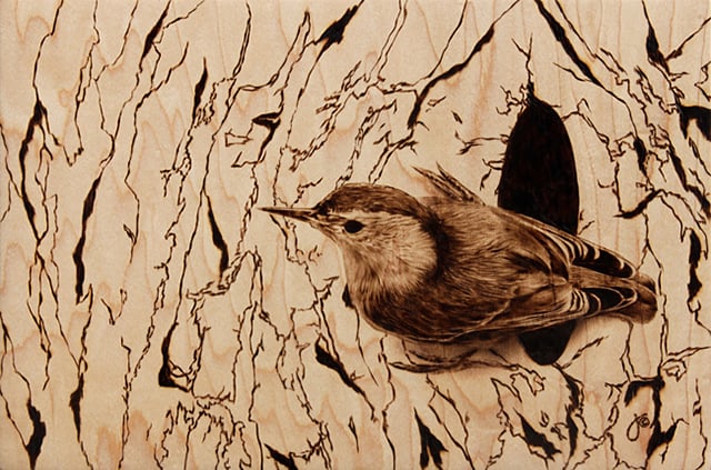 Julie Bender’s Pyrography