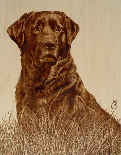 Julie Bender's Pyrography