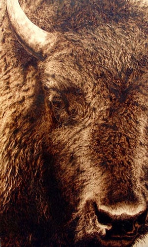 Julie Bender’s Pyrography