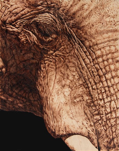 Julie Bender’s Pyrography