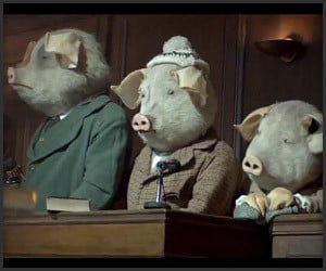 The Three Little Pigs: 2012