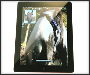Horse iPad
