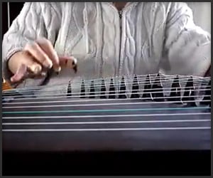 Rolling in the Deep on Guzheng