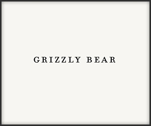 Grizzly Bear: Sleeping Ute