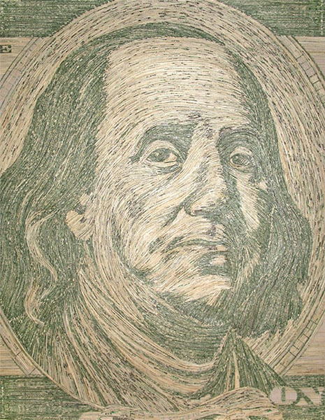 Shredded Money Portraits