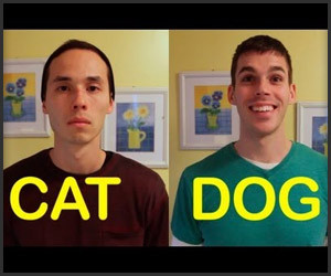 Cat-Friend vs. Dog-Friend