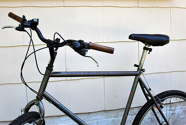Hardwood Bike Grips
