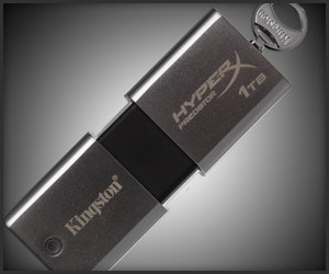 Kingston 1TB USB Flash Drive