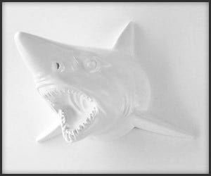 Faux Taxidermy Shark