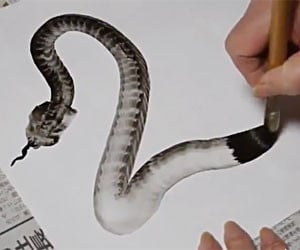 Calligraphic Snake