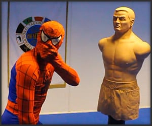 Taekwondo Spider-Man